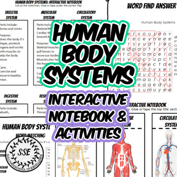Preview of Human Body Systems Interactive Notebook, Health Anatomy Activities Worksheets
