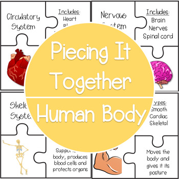 Preview of Human Body Systems - Jigsaw Review - Foldables