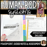 Human Body Systems Lesson Guided Notes and Assessment - Ed