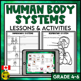 Human Body Systems Lessons & Activities | Biological Syste