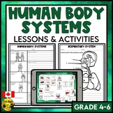 Human Body Systems Lessons & Activities | Biological Syste