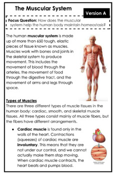Preview of Human Body Systems Leveled Text Set Booklets (6 Body Systems!)