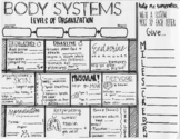 Human Body Systems | Levels of Organization | SKETCH NOTES | Science Coloring