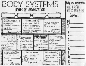 Preview of Human Body Systems | Levels of Organization | SKETCH NOTES | Science Coloring