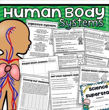 Preview of Human Body Systems (Lyric Sheets, Worksheets, Activities, Vocabulary, and More)