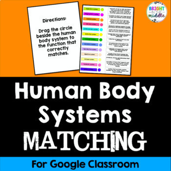 Preview of Human Body Systems Matching Activity