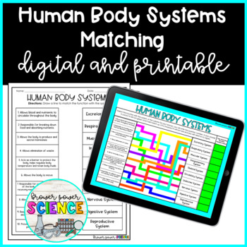 Preview of Human Body Systems Matching Worksheet Digital and Printable