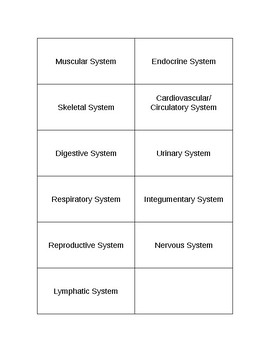 Preview of Human Body Systems Matching cards