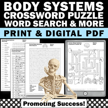 Preview of Human Body Systems Science Crossword Puzzle Skeletal Digestive Nervous 5th Grade
