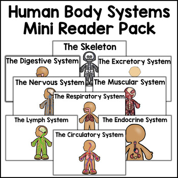 Preview of Human Body Systems Mini Reader Bundle Simple Human Body Activity Primary