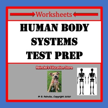 Preview of Human Body Systems Multiple Choice Worksheets (5 Worksheets for Test Prep)