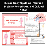 Human Body Systems: Nervous System PowerPoint and Guided Notes