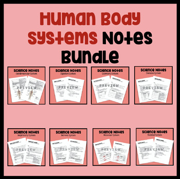 Human Body Systems Notes Bundle by Brooks Squared | TPT