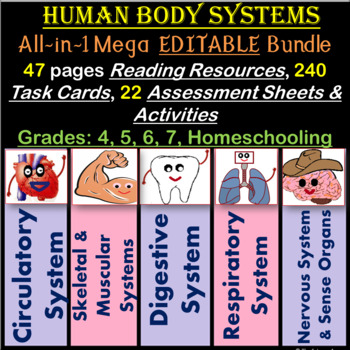 Preview of Human Body Systems - Notes, Task Cards, Worksheets, Etc. 4th-7th EDITABLE BUNDLE