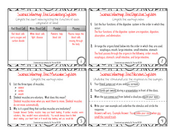 Free Human Body Systems: Organ Systems Warm-ups, Bell Ringers, or Task ...