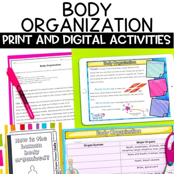 Preview of Human Body Systems Organization