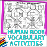 Human Body Systems & Organs Vocabulary Games - No Prep Sci