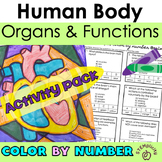 Human Body Systems & Organs Worksheets, Color-by-Number & 