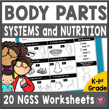 Preview of Human Body Systems Worksheets - Human Body Systems Organs & Nutrition