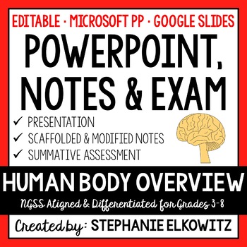 Preview of Human Body Overview PowerPoint, Notes & Exam - Google Slides