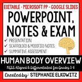 Human Body Overview PowerPoint, Notes & Exam - Google Slides