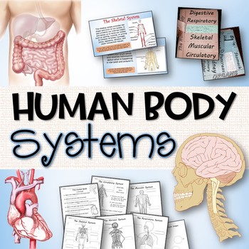 Preview of Human Body Systems + Top Ten Organs Pack: Powerpoint, Interactive Notebooks +