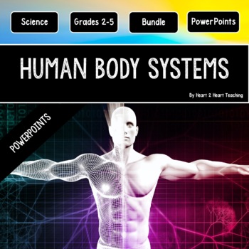 Preview of Human Body Systems PowerPoint Bundle with 6 PPTS Muscular Skeletal Digestive