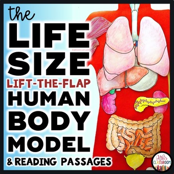 Preview of Human Body Systems Project & Lift-the-Flap Model w/ Human Body Reading Passages