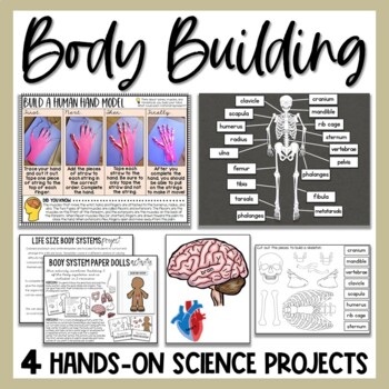 Human Body Project Examples  Mrs. Du Houx's Science Classroom