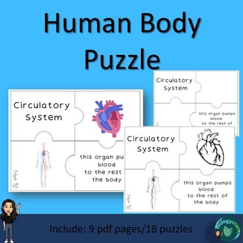 Human Body Systems Puzzle by biologystem | TPT