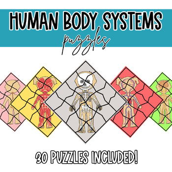 Preview of Human Body Systems Puzzles | CKLA Grade 1 Knowledge Unit 2: The Human Body