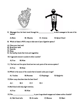 Human Body Systems Quiz ( 5th grade science) by Teaching Made Easy