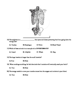 human body systems quiz 5th grade science by teaching made easy