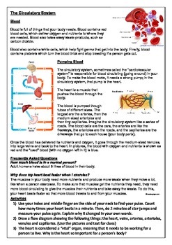 Human Body Systems - Reading Comprehension + Activities by ReadEngage
