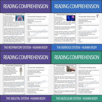 Preview of Human Body Systems - Reading Comprehension Activity Bundle