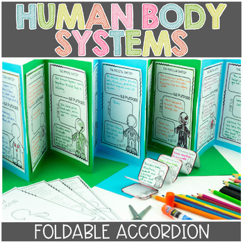 Preview of Human Body Systems Activity | Foldable Booklet Printable & Digital | Google