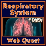 Human Body Systems Respiratory System Activity Webquest wi