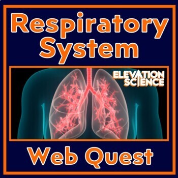 Preview of Human Body Systems Respiratory System Activity Webquest with Google Docs