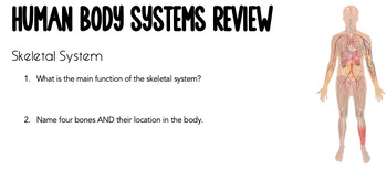 Preview of Human Body Systems Review