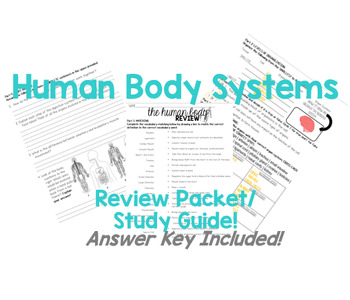Preview of Human Body Systems Review/Study Guide | 7.L.1.3-7.L.1.4