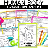 Human Body Systems Review Worksheets