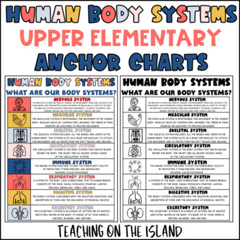 Preview of Human Body Systems Science Anchor Chart