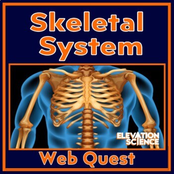 Preview of Human Body Systems Skeletal System Activity Webquest with Google Slides Version