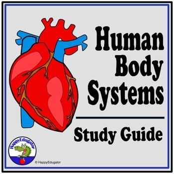 Preview of Human Body Systems Study Guide Digital and Print
