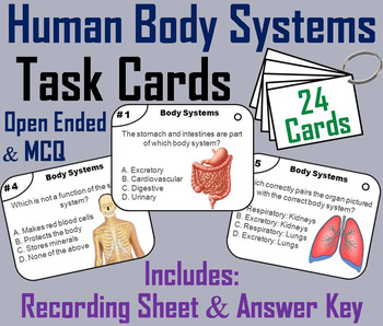 Preview of Human Body Systems Task Cards Activity (Anatomy & Physiology)