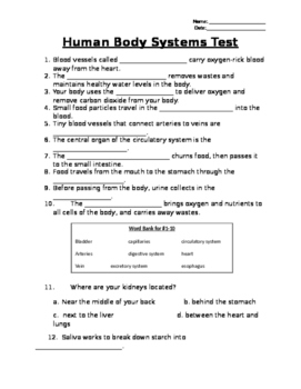 human body systems test by adventures in upper elementary tpt