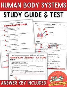 human body systems test study guide by totallyteaching tpt