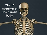 Human Body Systems: The 11 Systems of the Human Body (animations)