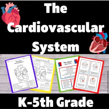 Preview of Human Body Systems: The Heart/Cardiovascular Unit Supplement Packet 
