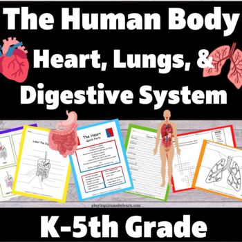 Preview of Human Body Systems: The Heart, Lungs, and Digestive System